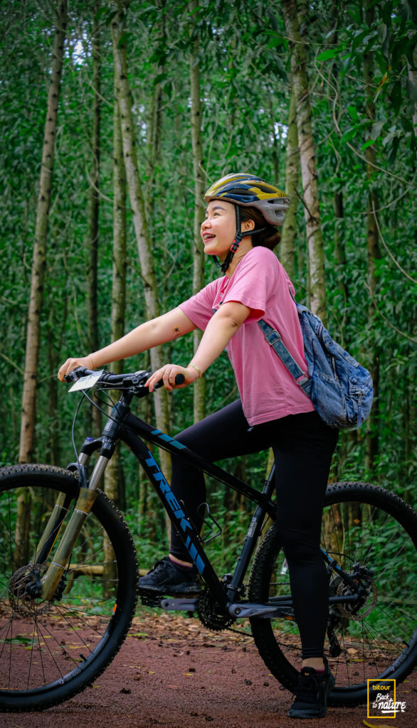 công việc viết lách