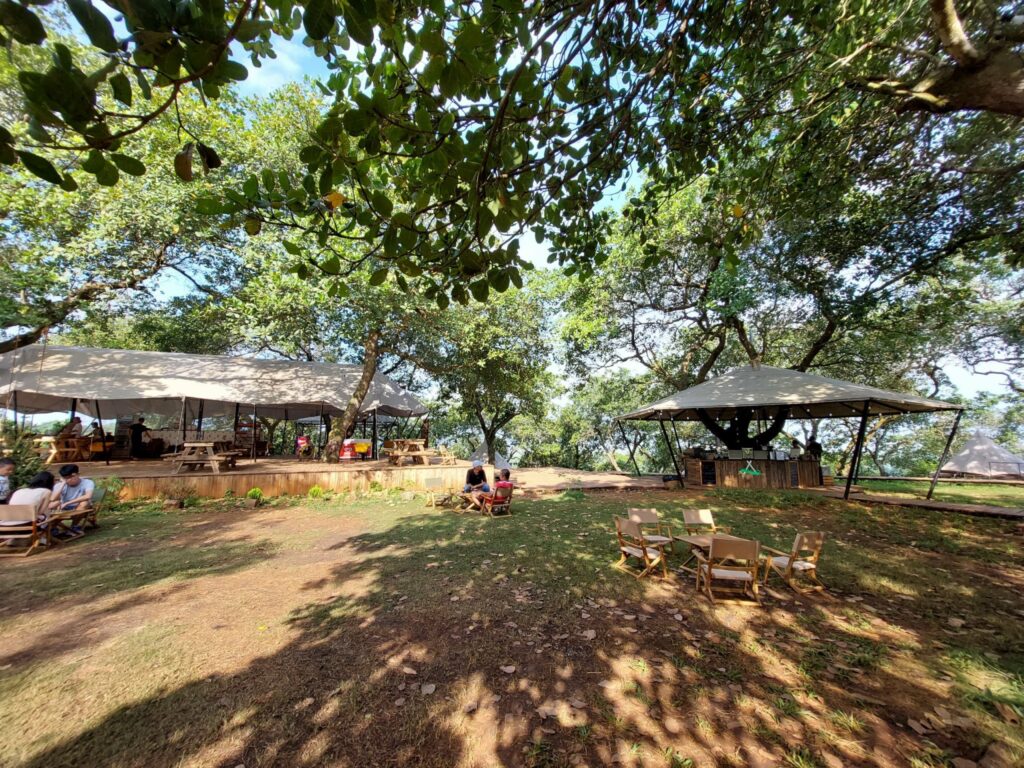 tình bạn tốt trong những tháng năm dài